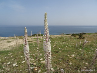 Tonnara di Brucoli